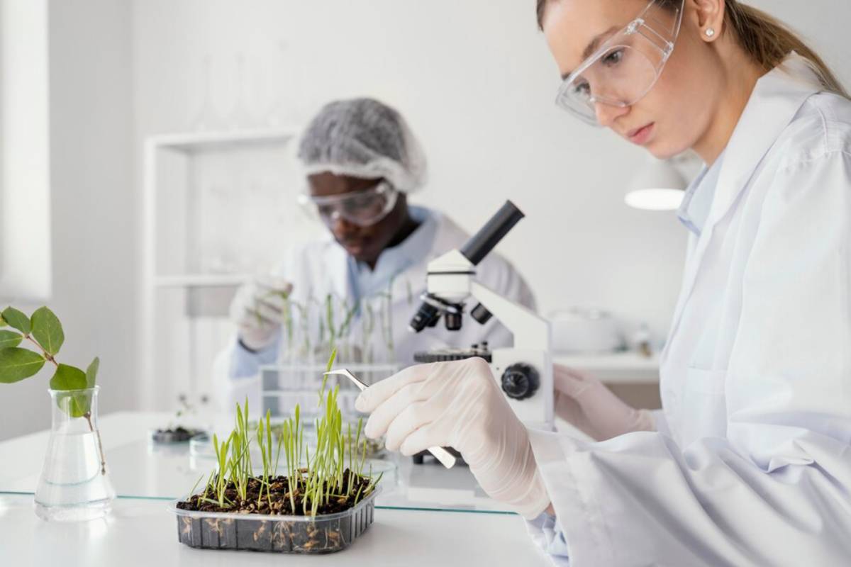 Two scientists in a lab examining plant samples under microscopes, wearing lab coats, gloves, and protective eyewear.
