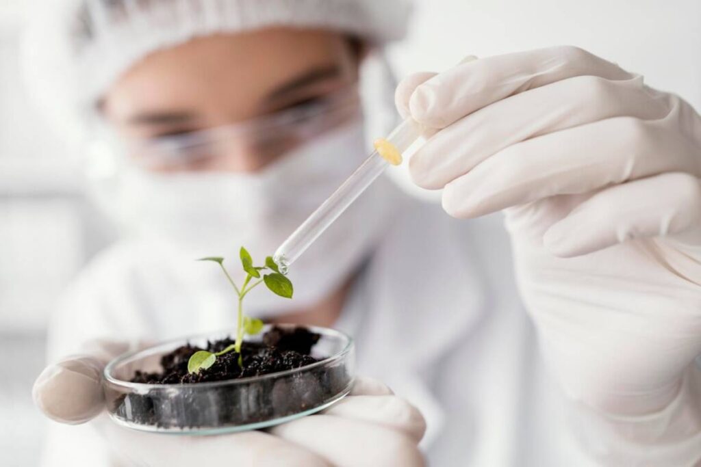 Scientist in lab coat and gloves applying a droplet to a small plant in a petri dish.