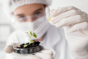 Scientist in lab coat and gloves applying a droplet to a small plant in a petri dish.