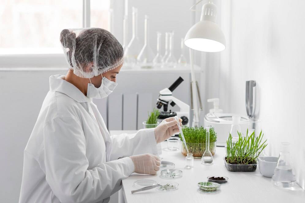 Scientist in lab coat and hairnet examining plant samples in a bright laboratory environment.