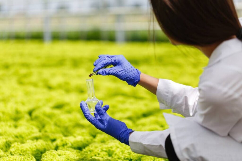 A scientist in a greenhouse examining a plant sample with a test tube, wearing blue gloves.
