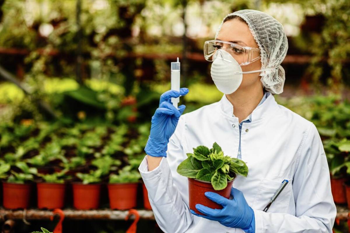 Female scientist in protective gear holding a plant and a test tube in a greenhouse.