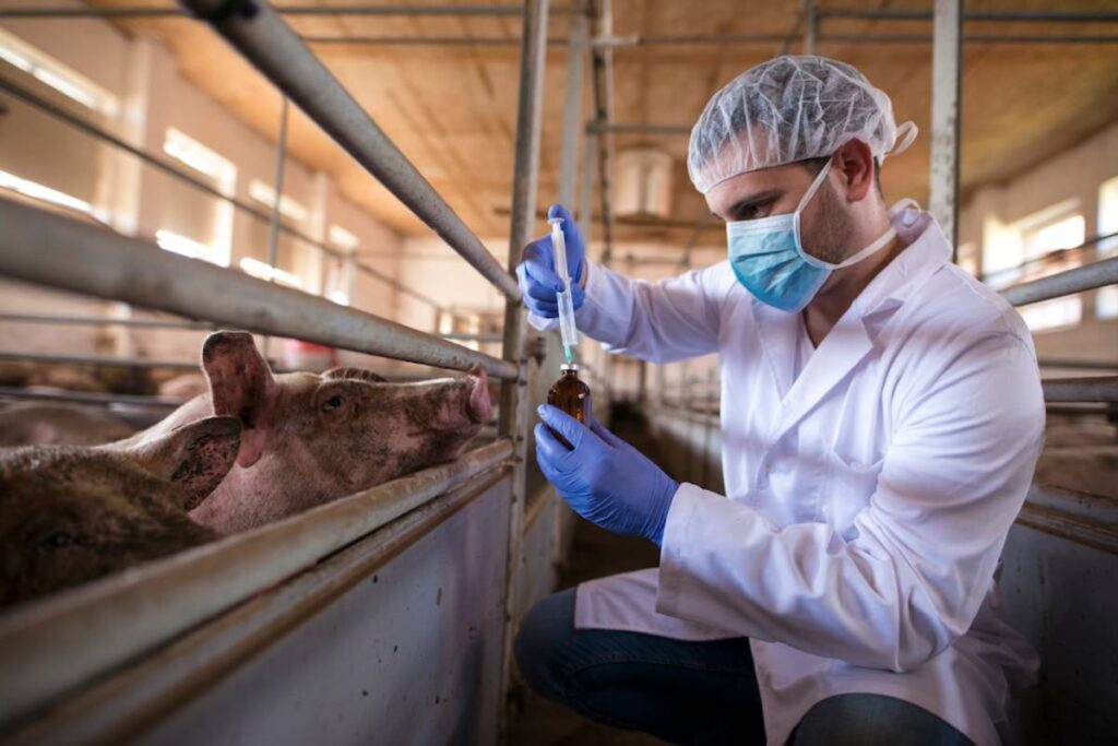 Veterinarian in protective gear administering treatment to a pig in a pen.