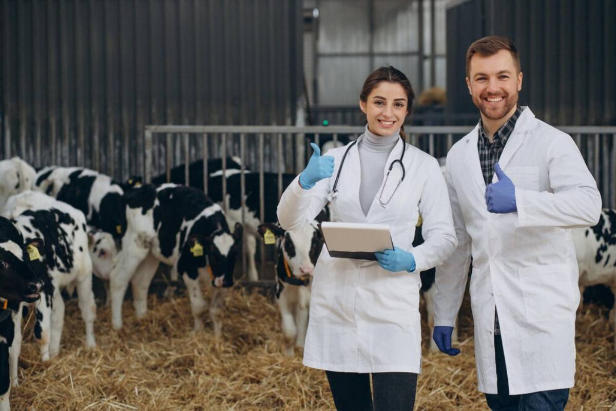 Two veterinarians, a man and a woman, smiling and giving thumbs-up in a cow barn while holding a tablet.