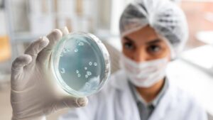 Scientist in a lab coat examining a Petri dish with culture samples, wearing protective mask and gloves.