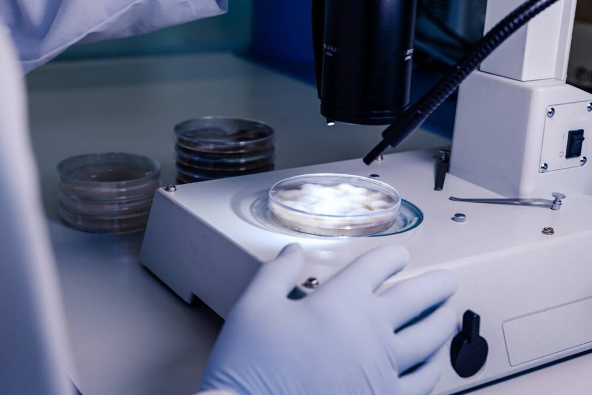 Scientist examining a sample under a microscope in a laboratory setting.