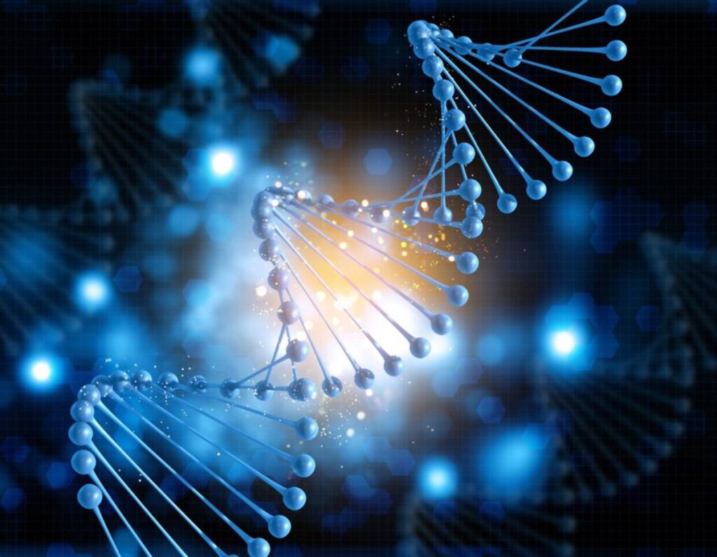 Digital illustration of glowing DNA strands with blue and light orange highlights on a dark background, symbolizing biotechnology and genetics.